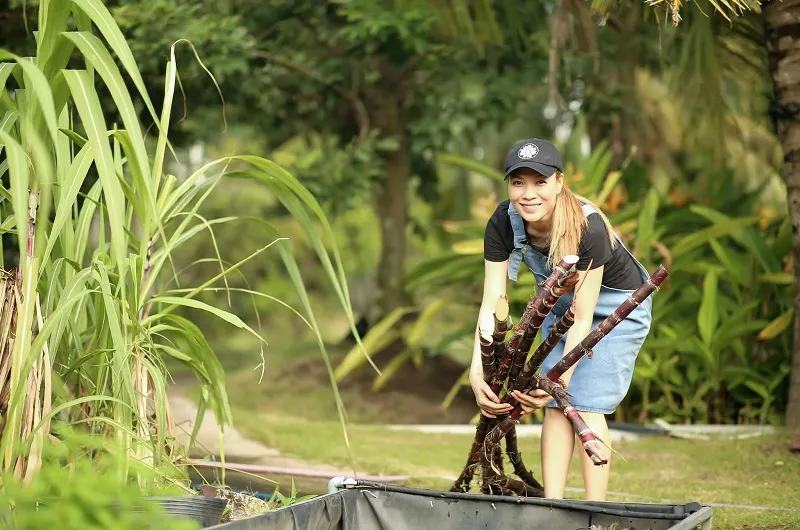 Mỹ Tâm hóa cô nông dân làm vườn, nhan sắc tuổi 41 khiến dân tình ngỡ ngàng