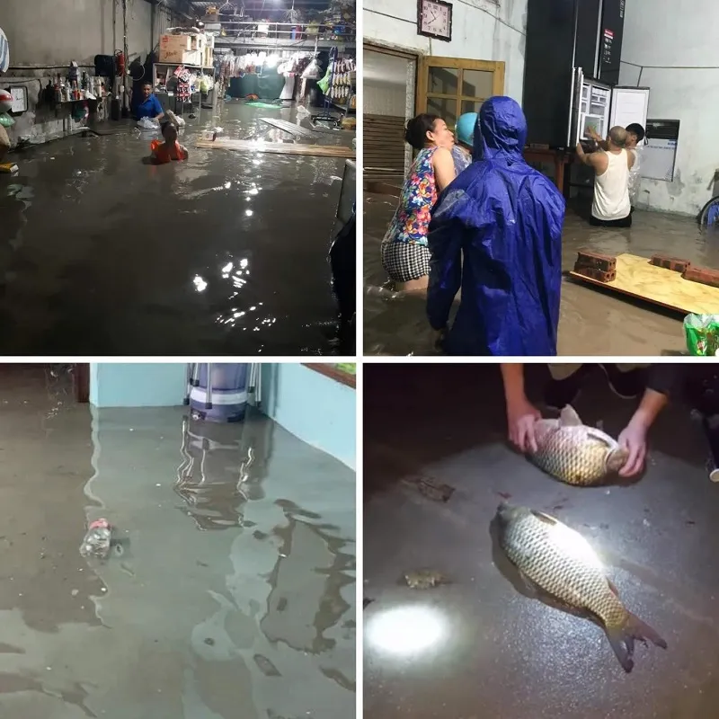 Xót xa cảnh người dân Hải Phòng, Quảng Ninh bị ảnh hưởng bởi bão số 3
