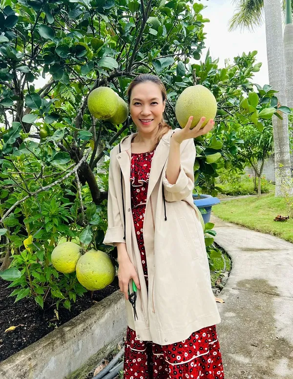 Phản ứng bất ngờ của Mỹ Tâm khi bị đồn mang bầu lần 2 