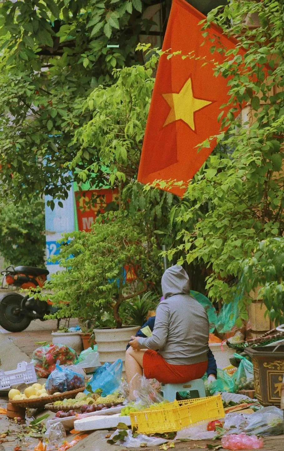 Chùm ảnh Hà Nội rực cờ đỏ sao vàng trước ngày Quốc khánh 2/9