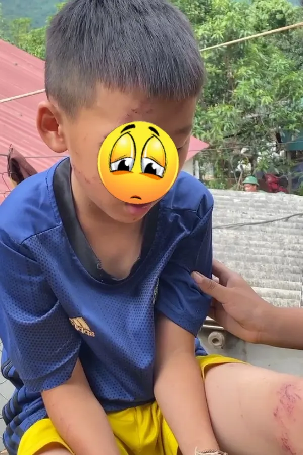 Ký ức buồn của cậu bé 10 tuổi chứng kiến cháu mình bị lũ cuốn đi