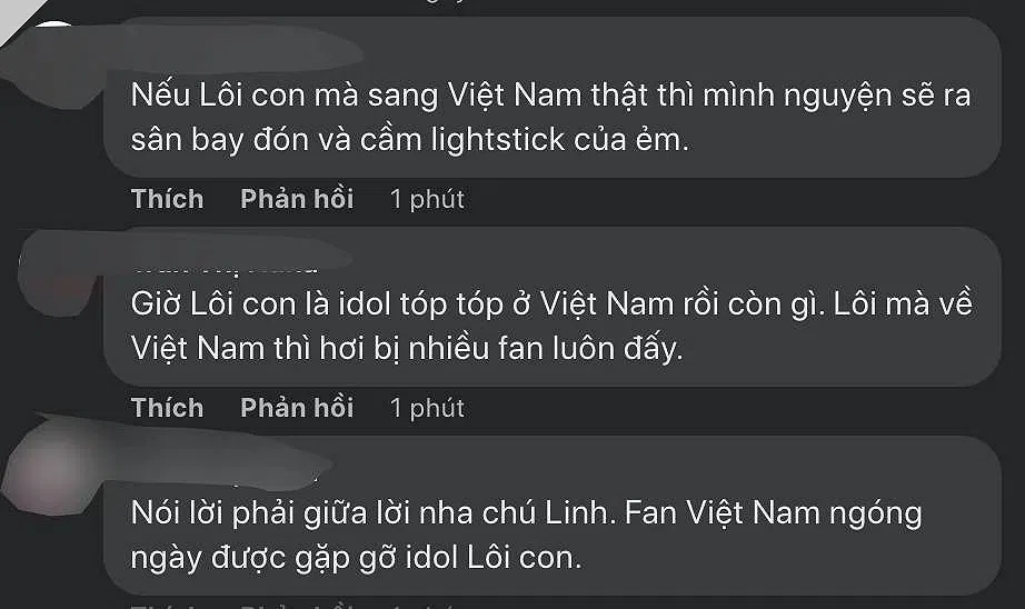 Quang Linh Vlog lên kế hoạch đưa 'Lôi con' về Việt Nam, CĐM phản ứng cực mạnh mẽ