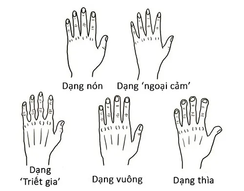 5 kiểu dáng tay có thể nhìn ra năng khiếu, tính cách: Người hướng ngoại hay hướng nội?