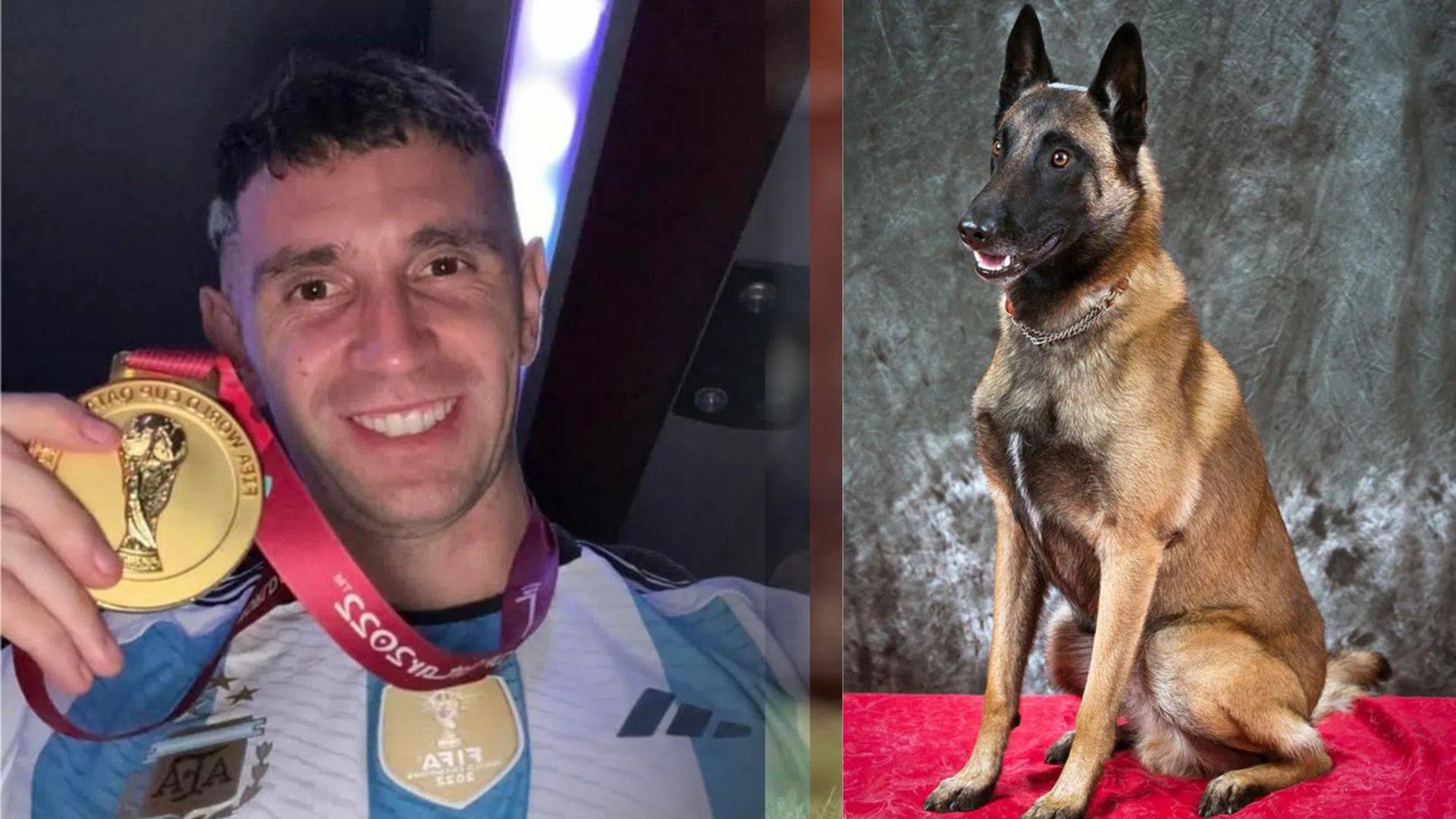 SỐC: Thủ môn Argentina mua chó đặc nhiệm để bảo vệ huy chương vàng World Cup