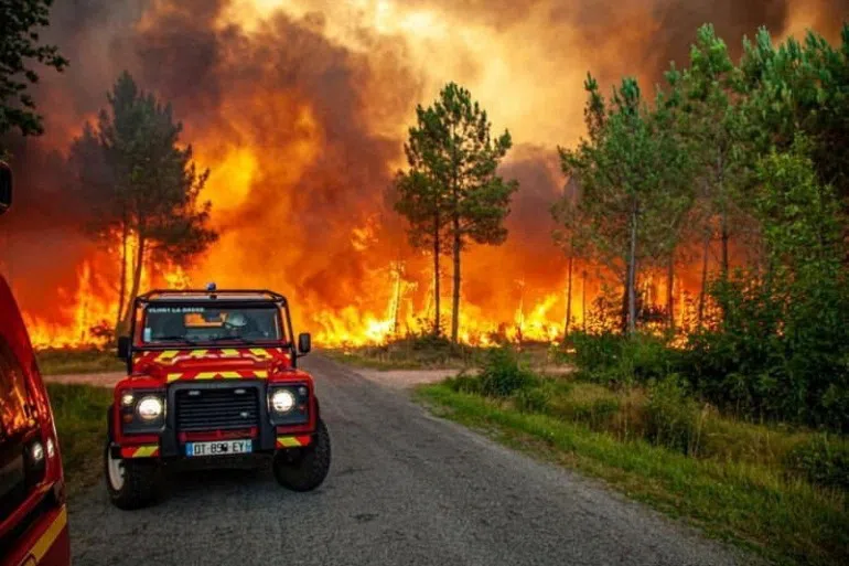 Ở Tây Nam nước Pháp, cháy rừng đã phá hủy khoảng 7.700 ha đất kể từ 12/7. Ảnh: Reuters