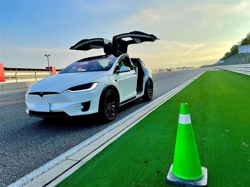 Tesla Model X là chiếc xe mà Lâm Chí Dĩnh đặt mua giữa năm ngoái.