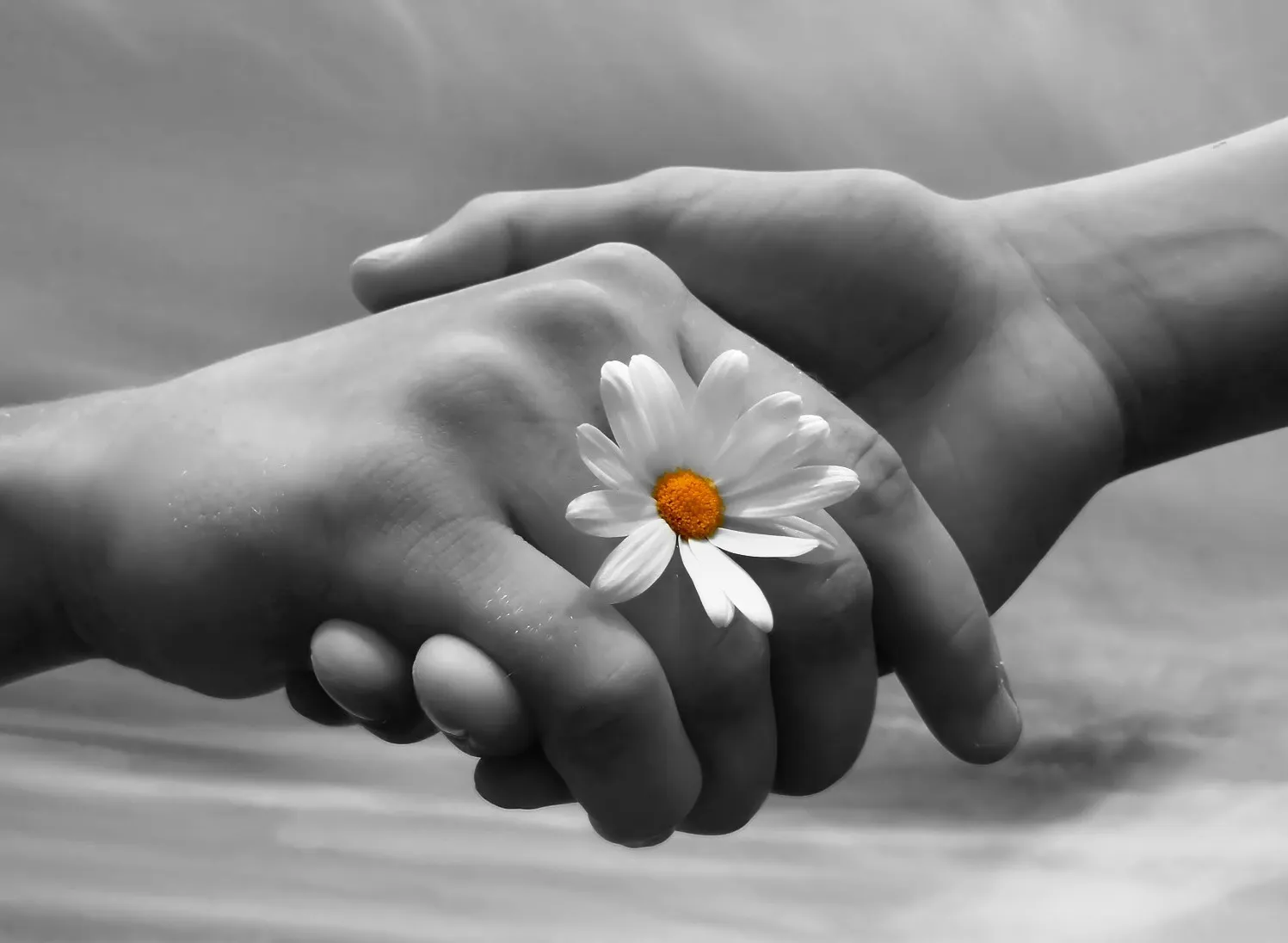 3 con giáp nổi tiếng bao dung, ai yêu được sẽ vô cùng hạnh phúc