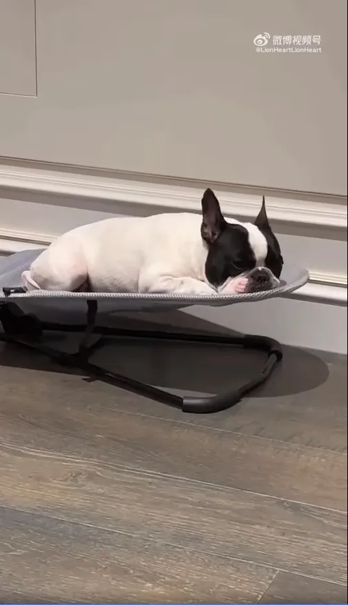 Cũng là mua đồ cho em bé nhưng em bé của Lộc Hàm lạ lắm.