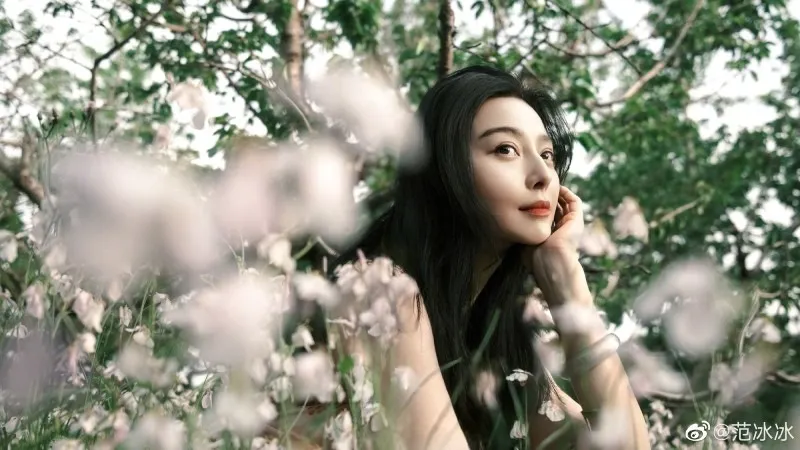 Phạm Băng Băng được ca ngợi trong sách giáo khoa, chuyện gì đây?