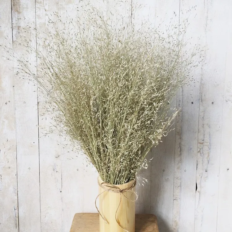 3 đồ vật kiêng kỵ để trong nhà để tránh gia đạo lục đục, hao tài tốn của, bệnh tật triền miên