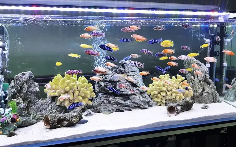 3 đồ vật đại kỵ không để trong phòng ngủ kẻo sức khỏe sa sút, gia đạo lục đục