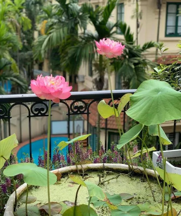 Góc khuất bình dị phía sau ánh hào quang của hoa hậu Nguyễn Thị Huyền 
