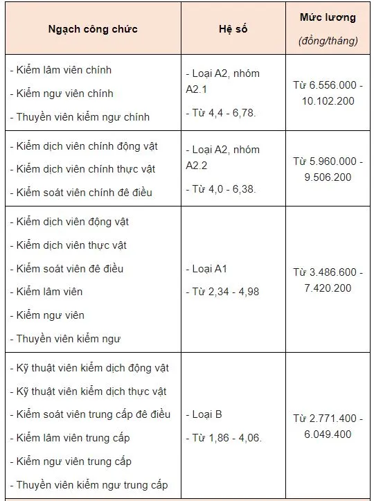 Loạt chính sách về tiền lương của công chức, viên chức từ tháng 10/2022