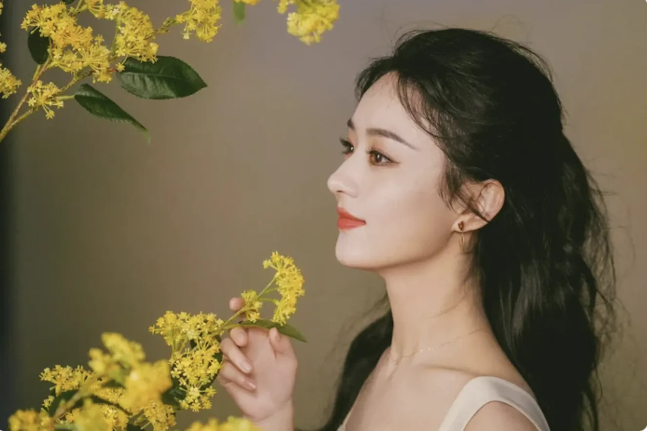 Ảnh thời 'chân ướt chân ráo' của Triệu Lệ Dĩnh có gì mà khiến dân mạng tranh cãi?