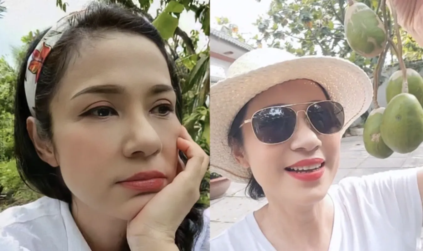 Việt Trinh và những lần đáp trả khi bị chê 'hết thời', 'cưa sừng làm nghé'