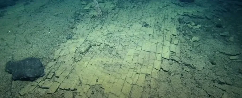 Phát hiện con đường gạch vàng bí ẩn chìm sâu dưới đáy Thái Bình Dương