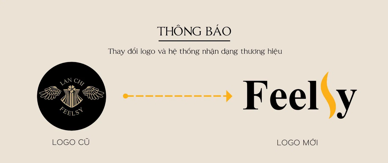 Feelsy công bố nhận diện thương hiệu mới - Dòng định hình số 1 Việt Nam