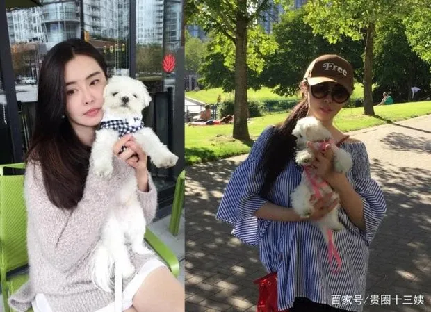 'Nhiếp Tiểu Thiến' Vương Tổ Hiền từ 'ngọc nữ' số 1 châu Á đến bị gán mác 'hồ ly tinh' và cuộc sống nơi xứ người ở tuổi U60