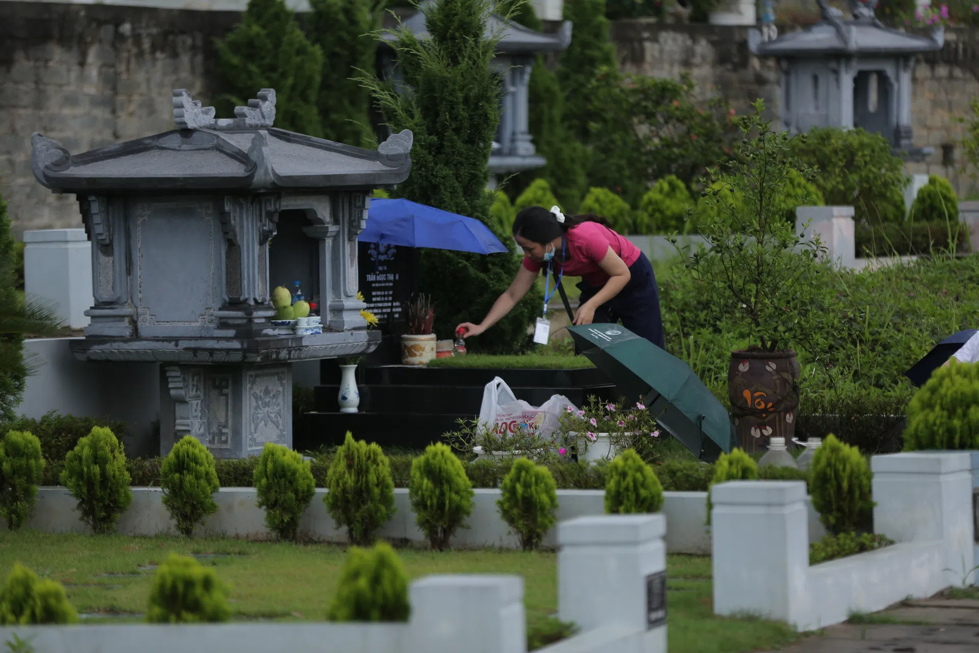 Chùm ảnh lễ Vu Lan: Ngấn lệ cài 'bông hồng trắng'