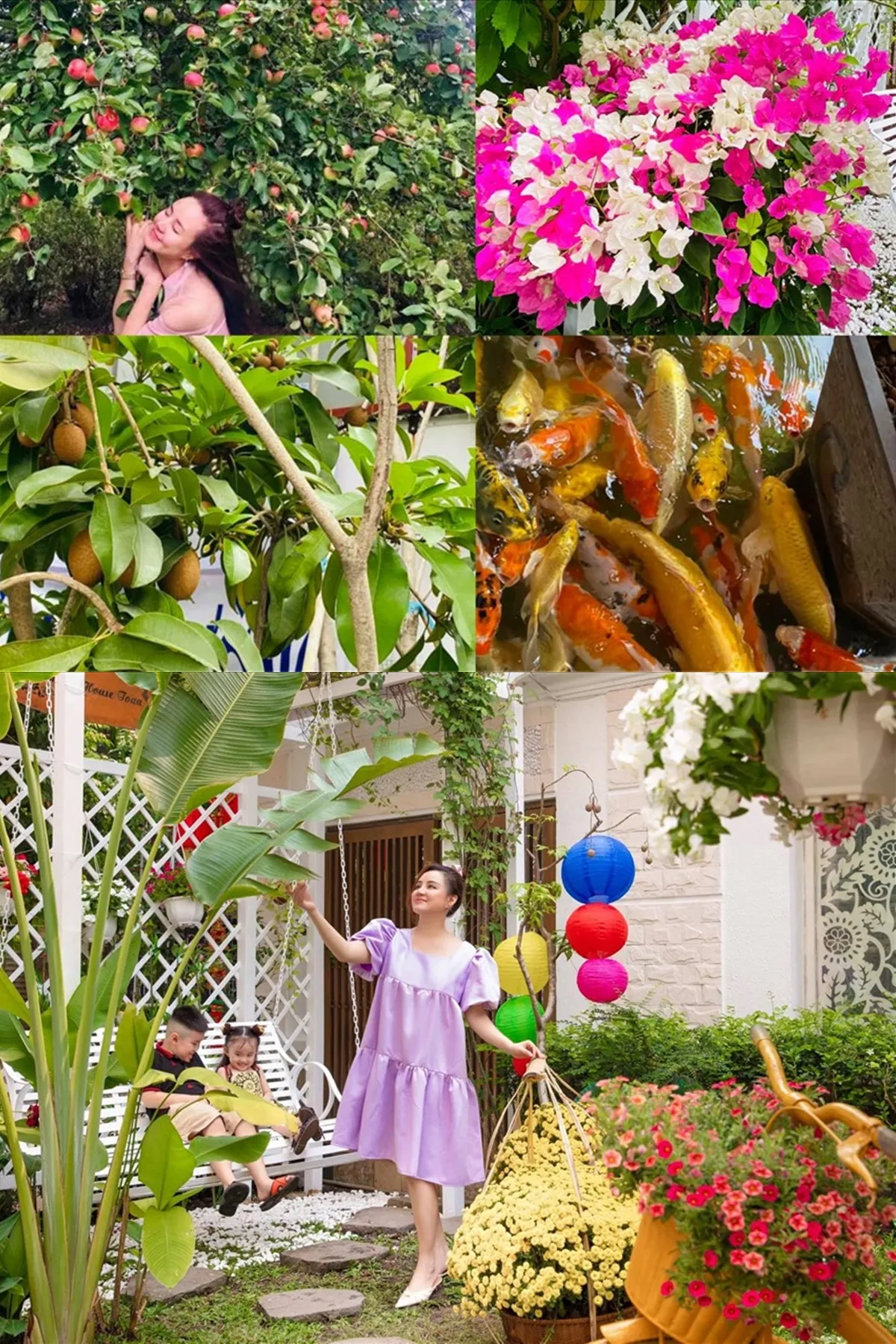 Vy Oanh - Đàm Vĩnh Hưng bị phát giác có điểm chung hậu đấu tố với bà Phương Hằng, dân mạng tá hỏa