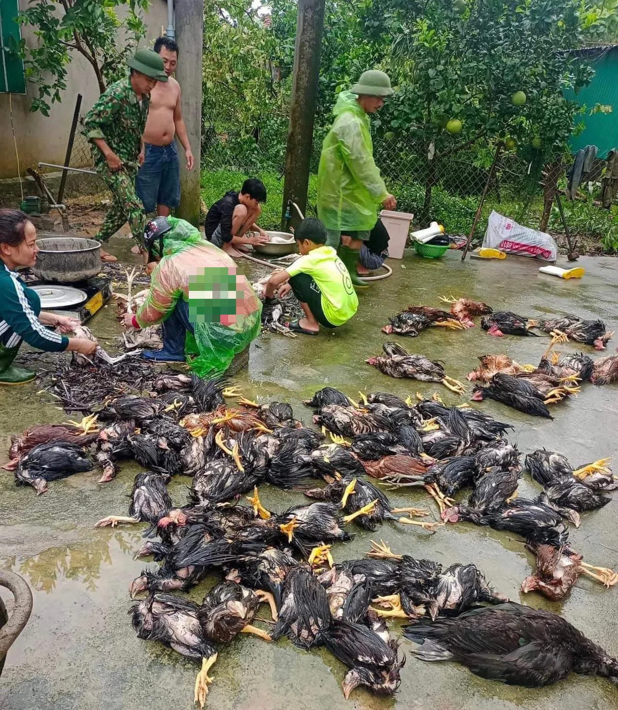 CHÙM ẢNH sau bão: Ruột thịt miền Trung hứng chịu hoàn lưu tàn khốc, người dân Nghệ An trắng đêm đắp đê chống lũ