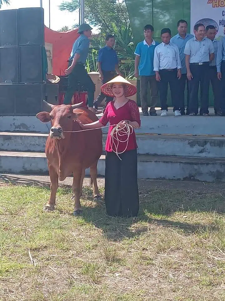 Nghệ An: Chùm ảnh người dân nô nức đi xem 'hoa hậu bò', các 'thí sinh' đủng đỉnh trình diễn