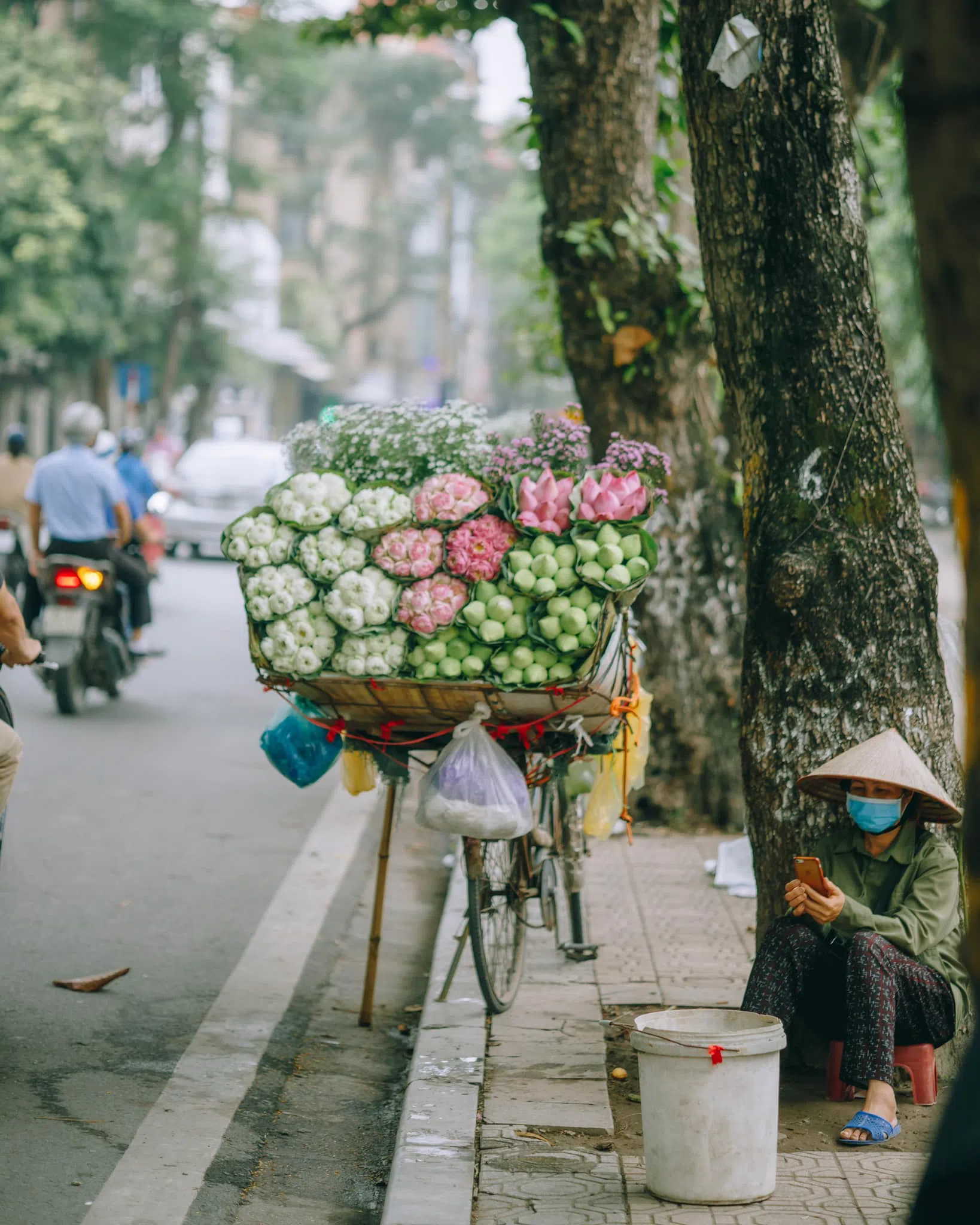 Trót ‘say’ mùa thu Hà Nội