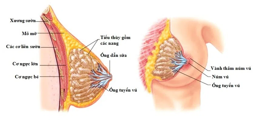 bài tập tăng vòng 1