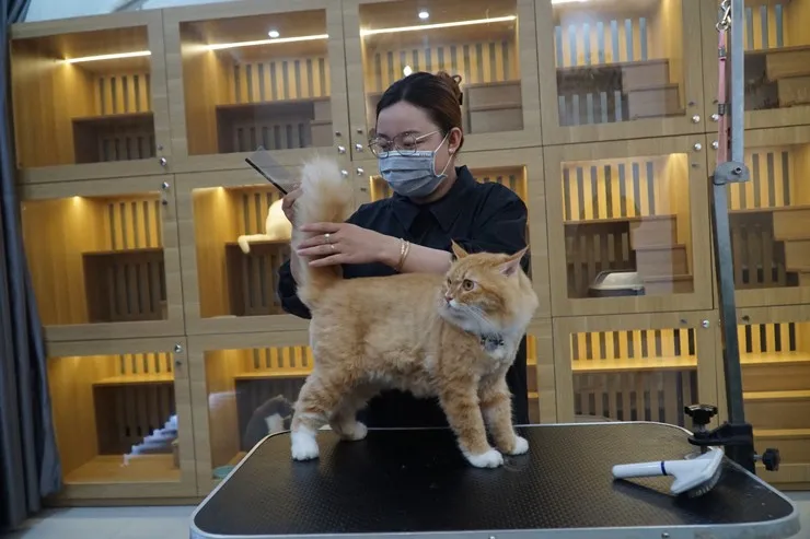 Co-gai-tre-Can-Tho-thu-lai-20-trieu-thang-nho-lam-dich-vu-nay-2