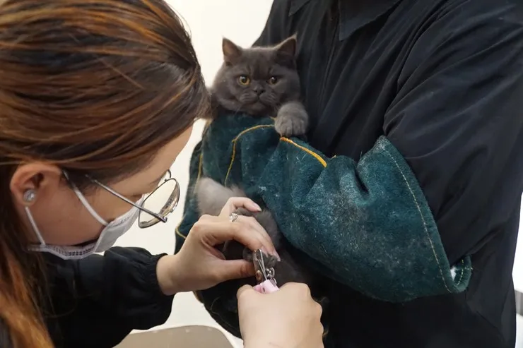 Co-gai-tre-Can-Tho-thu-lai-20-trieu-thang-nho-lam-dich-vu-nay-4-