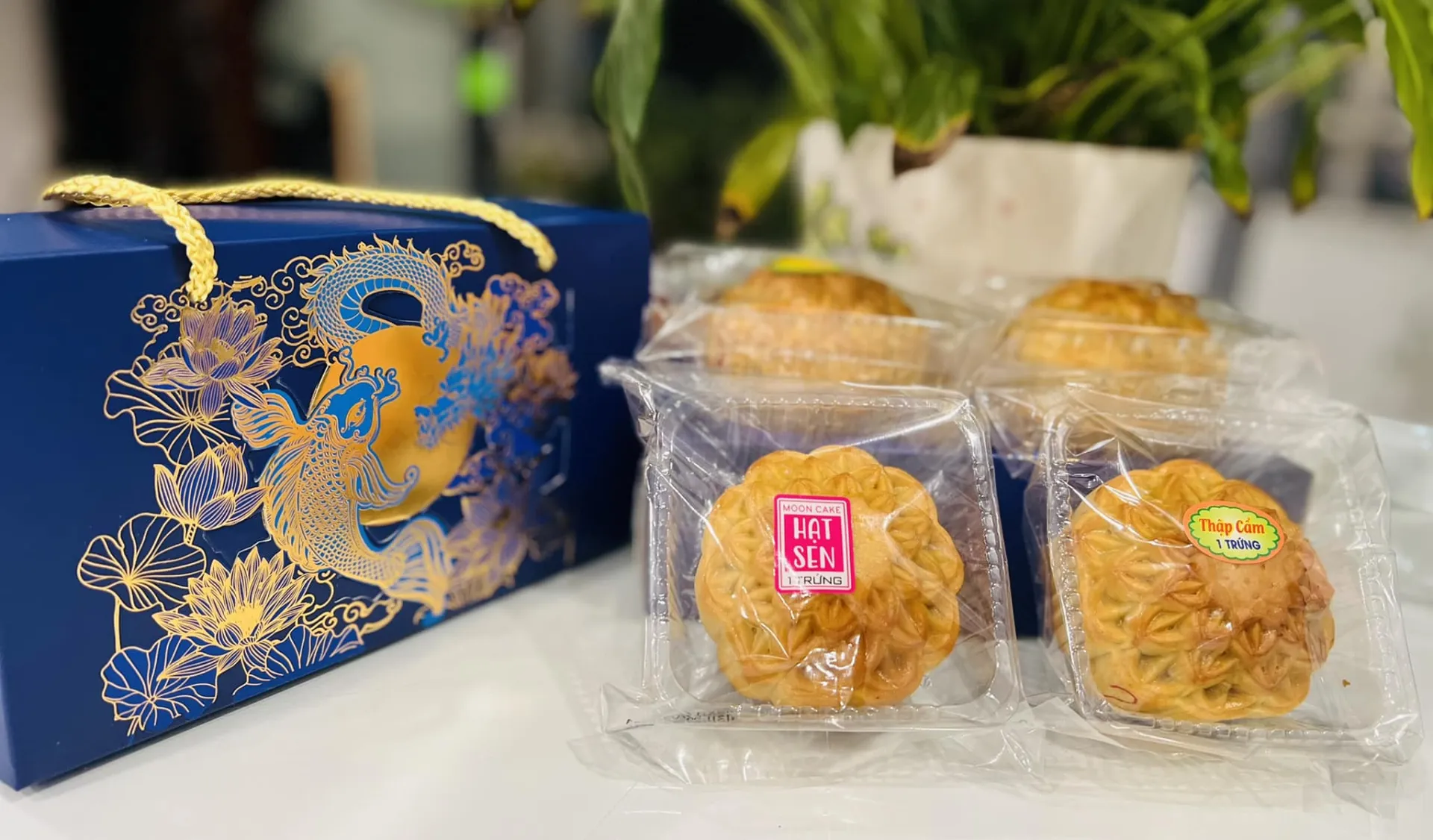 mc-dien-vien-le-nguyen-bao-lam-banh-trung-thu-ho-tro-nguoi-dan-vu-chay-chung-cu-mini1