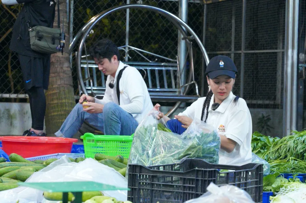 batch_batch_DSC01310