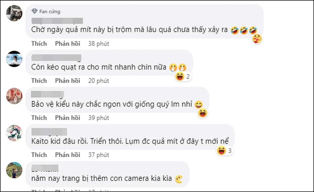 qua-mit-3
