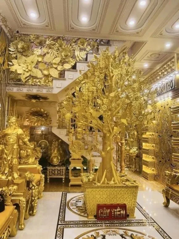 ngoi-nha-dat-vang-o-can-tho-3