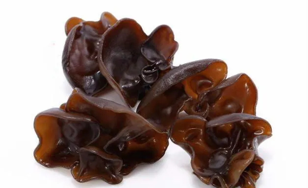 cac-loai-rau-can-chan-qua-nuoc-4