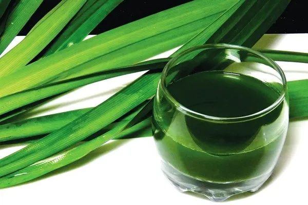 cong-dung-cua-la-dua-2