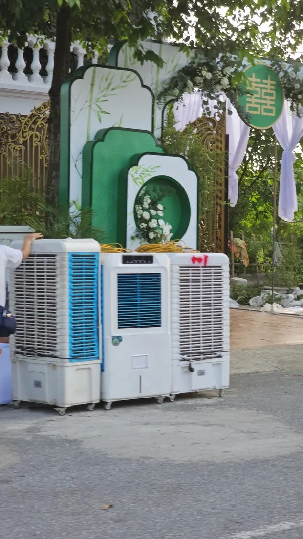 le-an-hoi-phuong-oanh-shark-binh-2