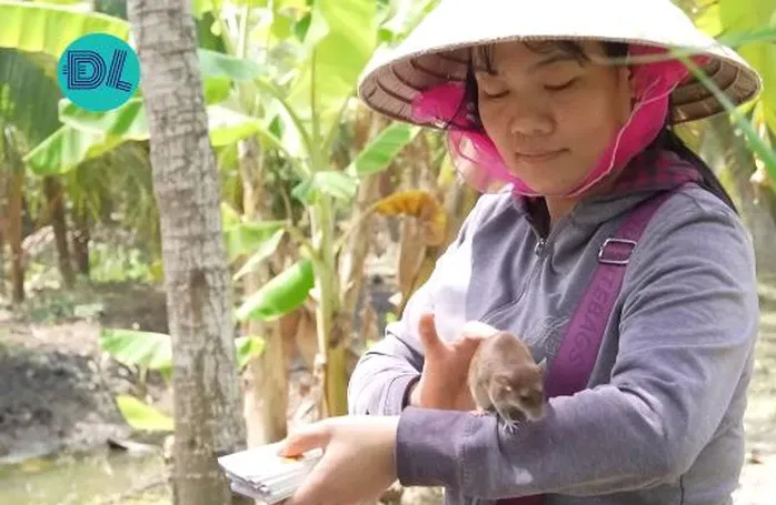 chu-chuot-mien-tay-cung-chu-di-ban-ve-so-moi-ngay-khach-tra-85-trieu-nhung-khong-ban-1