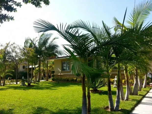 quang-le-tiet-lo-co-nguoi-chuyen-nham-hon-5-ty-lo-luon-so-du-tai-khoan-khien-ai-cung-choang-4