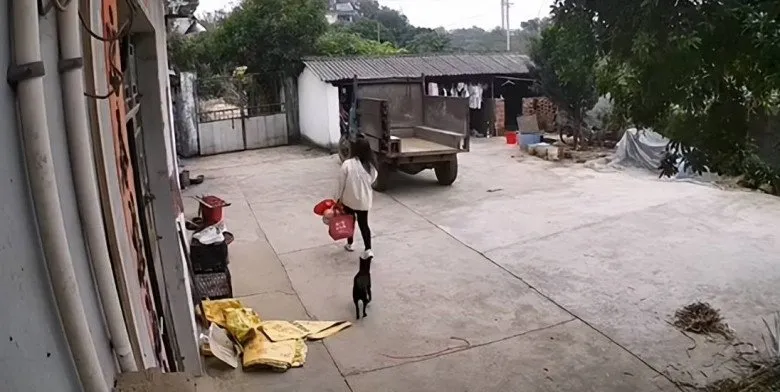 di-lam-ve-khong-thay-vo-dau-nguoi-chong-kiem-tra-camera-thi-nhin-thay-canh-tuong-chua-chat-2