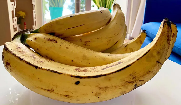 viet-nam-co-loai-chuoi-khong-lo-dai-tan-40-cm-gia-dat-ngang-suat-com-bui-la-dac-san-cua-mot-tinh-1