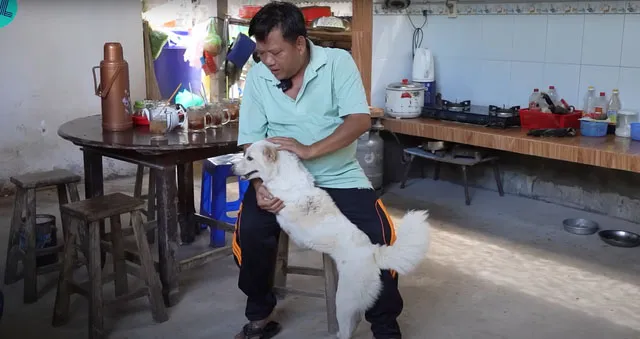 mang-cun-la-ve-nha-nuoi-vo-chong-chay-xe-om-doi-doi-sau-2-nam-3