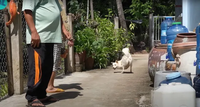 mang-cun-la-ve-nha-nuoi-vo-chong-chay-xe-om-doi-doi-sau-2-nam-5