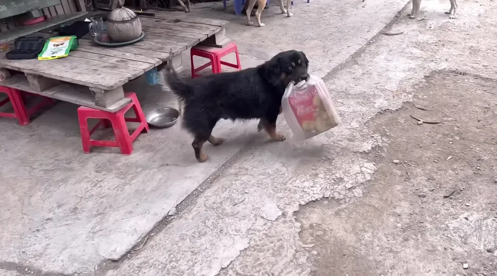 doc-la-mien-tay-5-chu-cho-thay-phien-nhau-phu-chu-ban-ve-so-3
