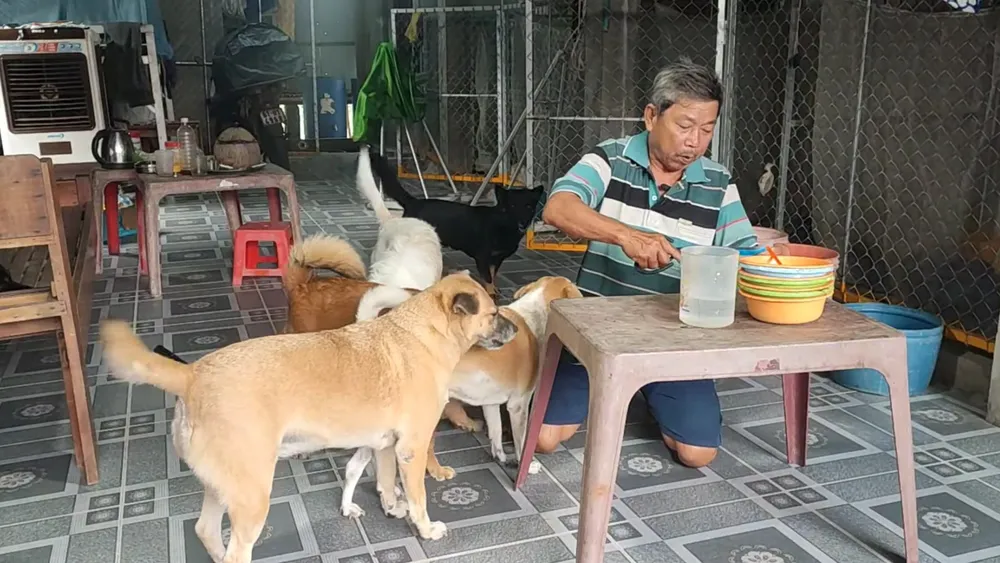 doc-la-mien-tay-5-chu-cho-thay-phien-nhau-phu-chu-ban-ve-so-6