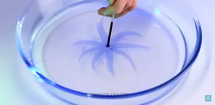 12-thu-thuat-khoa-hoc-thu-vi-ban-co-the-lam-o-nha2