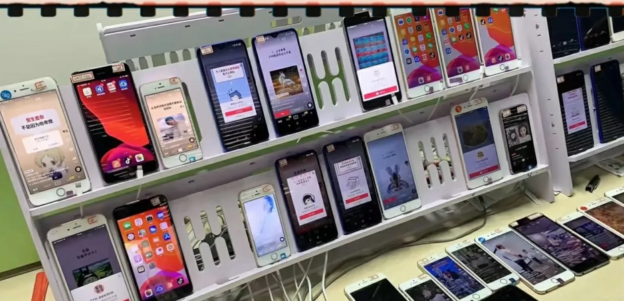 khoi-nghiep-tu-hai-ban-tay-trang-chang-trai-1998-kiem-65ty-nam-3