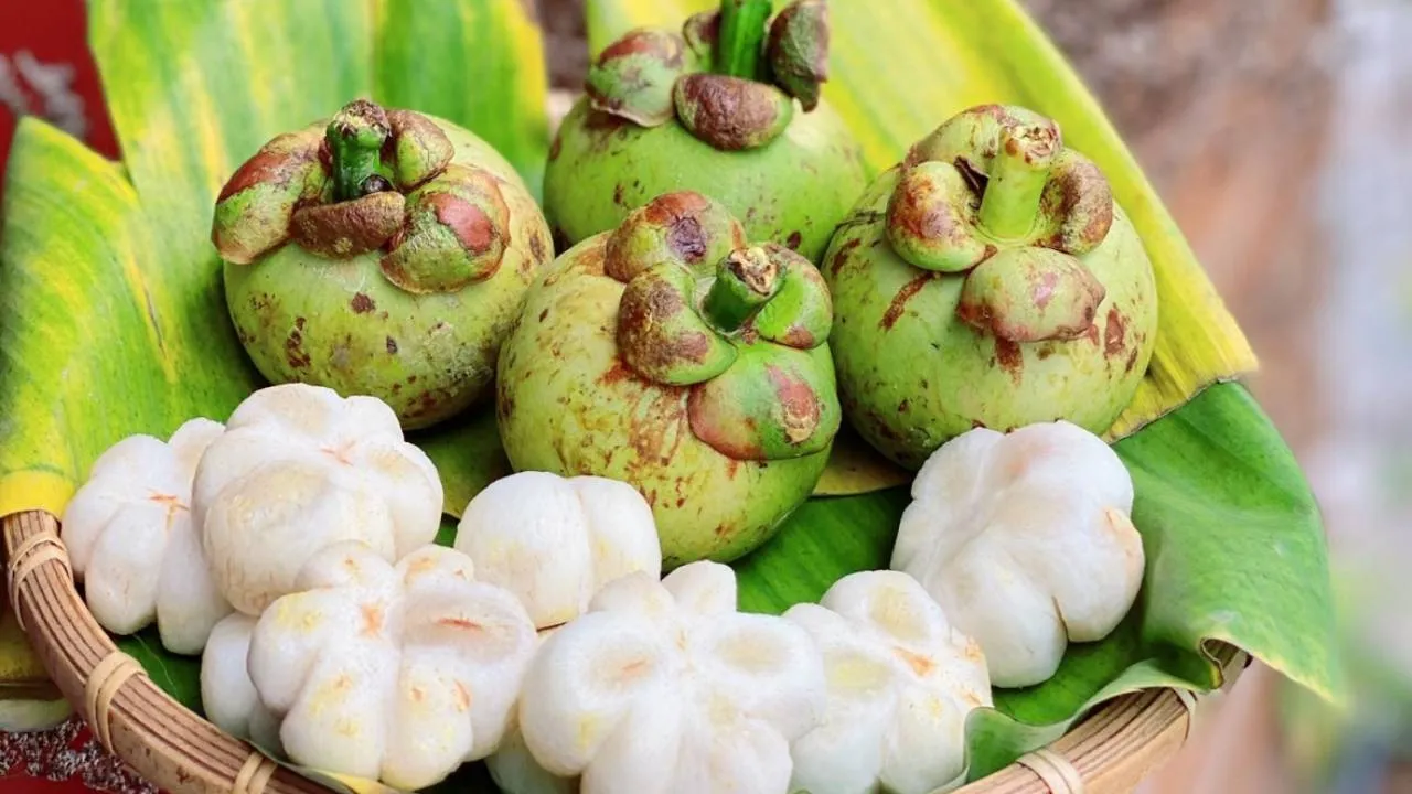 Dự án mới (5)