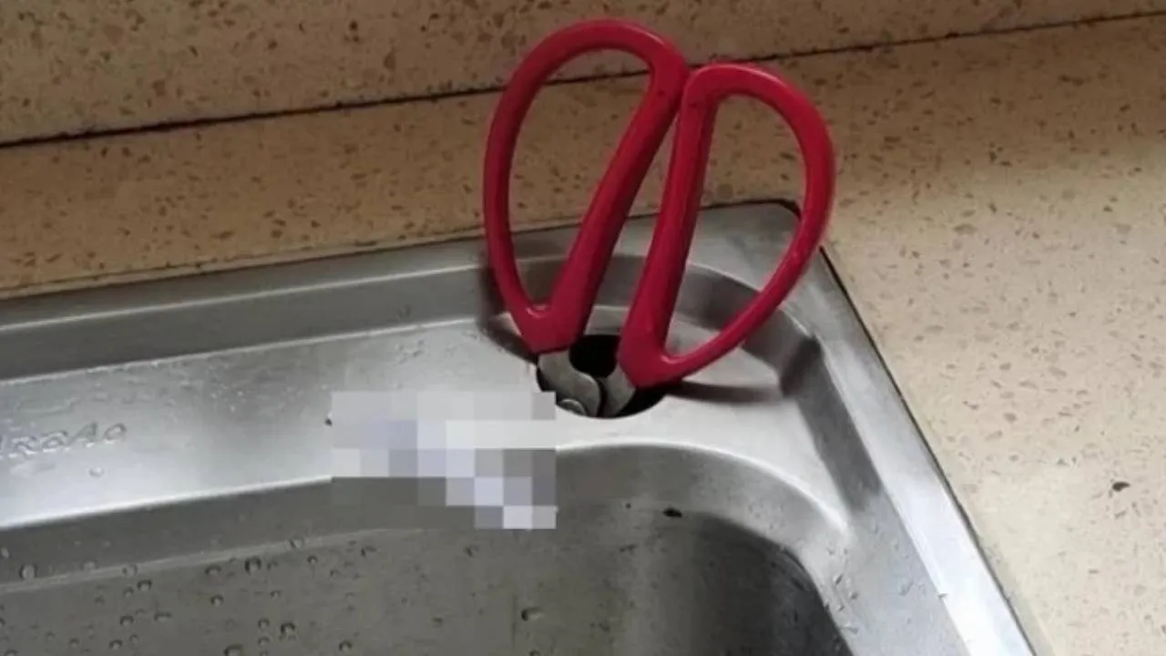 cong-dung-than-ky-cua-lo-nho-tren-bon-rua-chen