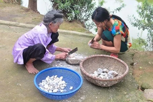 bi-an-ve-ngoi-lang-ky-la-cua-viet-nam-thich-an-dat-thay-com2